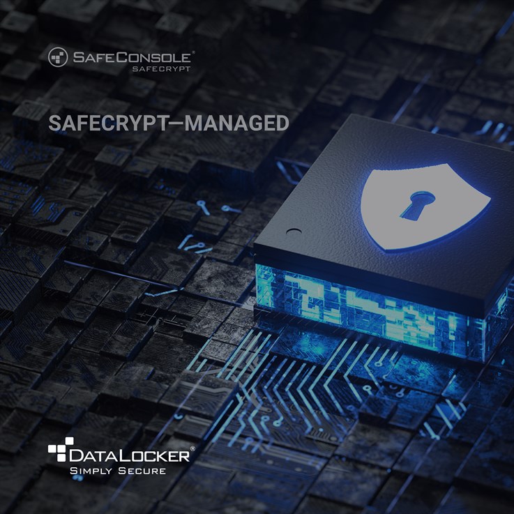 DataLocker SafeCrypt Managed by SafeConsole 3 Years