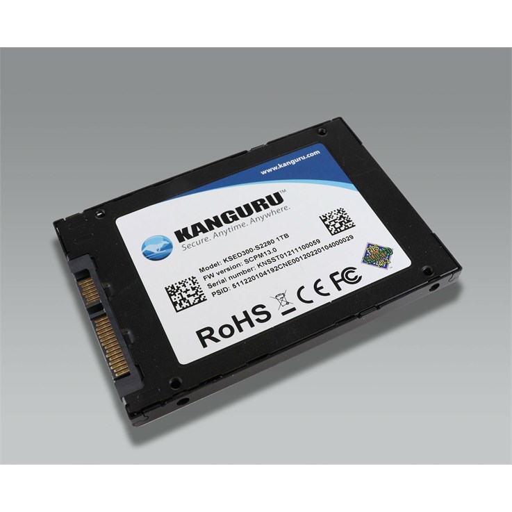 iStorage Kanguru Defender SED300 Hardware-Based Self-Encrypting Internal SATA SSD 1 TB | FIPS 140-2 Level 2 Certified | Self-Encrypting 2.5” SATA SSD |TAA Compliant