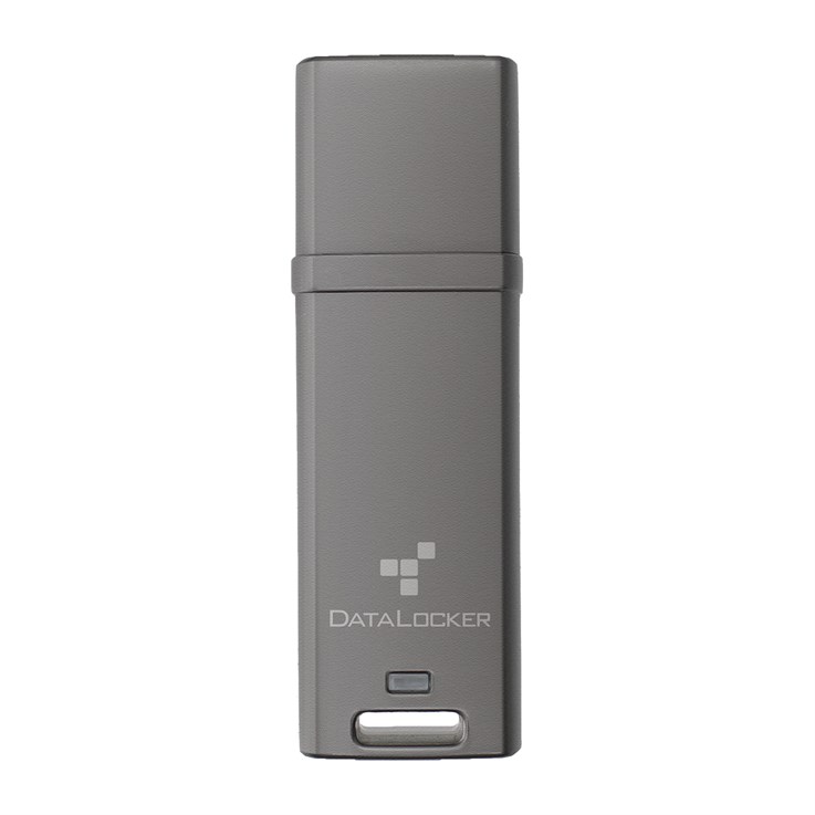 DataLocker DL GO 4GB Password-Protected, Encrypted USB-A Flash Drive AES FIPS 197 Optionally Managed