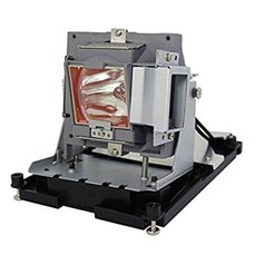 BTI Lamp for OPTOMA EH500 OEM: BL-FU310B DE.5811118436