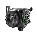 BTI Lamp for PROJECTIONDESIGN F3+ XGA OEM: R9801272